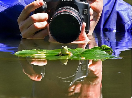 vacinart rabota v afrike