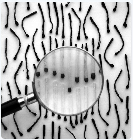 vacinart rabota v moskve rukovoditel predprinimateley