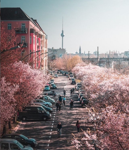 vacinart stazhirovka v germanii student