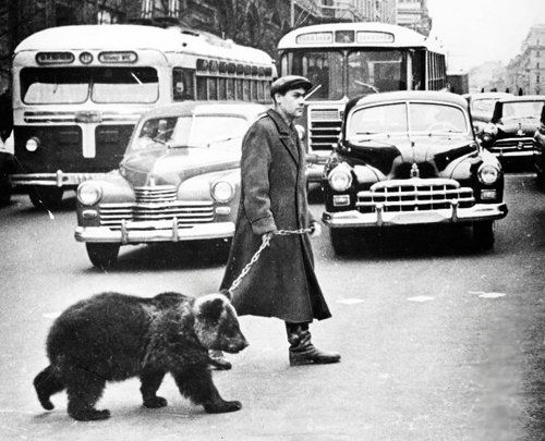 vacinart zhurnalist bloger evropa proect