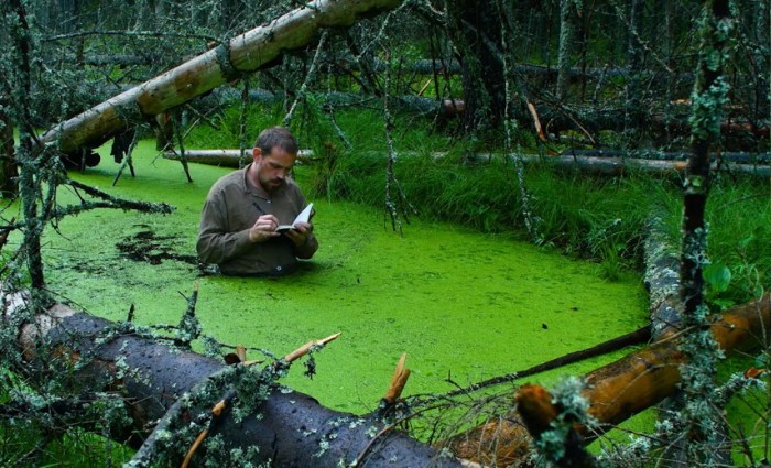 vacinart art konkurs pro hudozhnikov shamanov