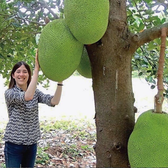 vacinart programma razvitiya predprinimateley