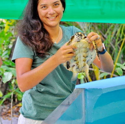 vacinart rabota na leto s cherepashkami_resize