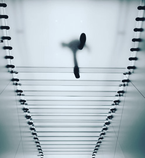 vacinart podrabotka v litve