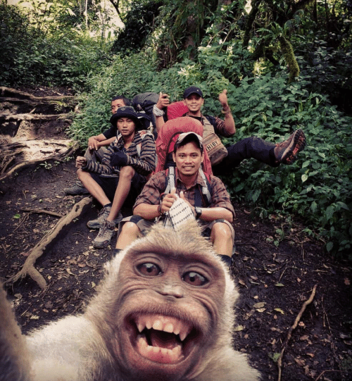 vacinart rabota za rubezhom