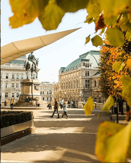 vacinart vena stazhirovka