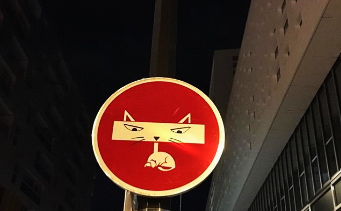 vacinart dizayner moskva