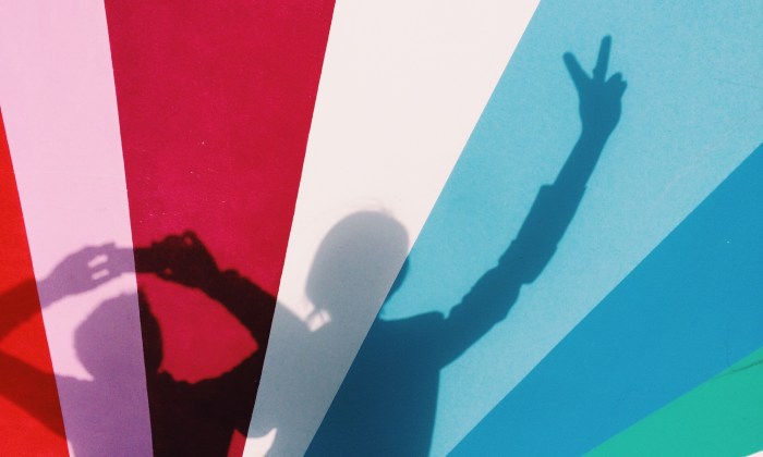 vacinart volonter spb