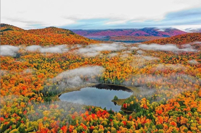 vacinart zhurnalistom v ameriku