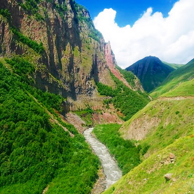 vacinart rabota na kavkaze