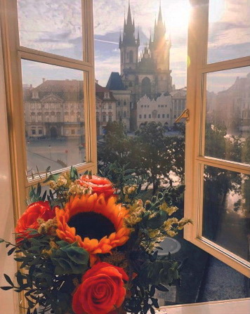 vacinart rabota v prage russkiy