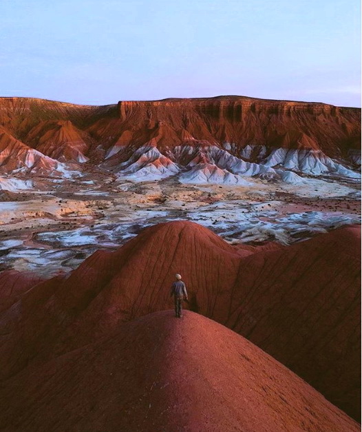 vacinart travel granty studentam