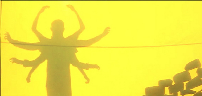 vacinart art rezidenciya v derevne v radzhasthan