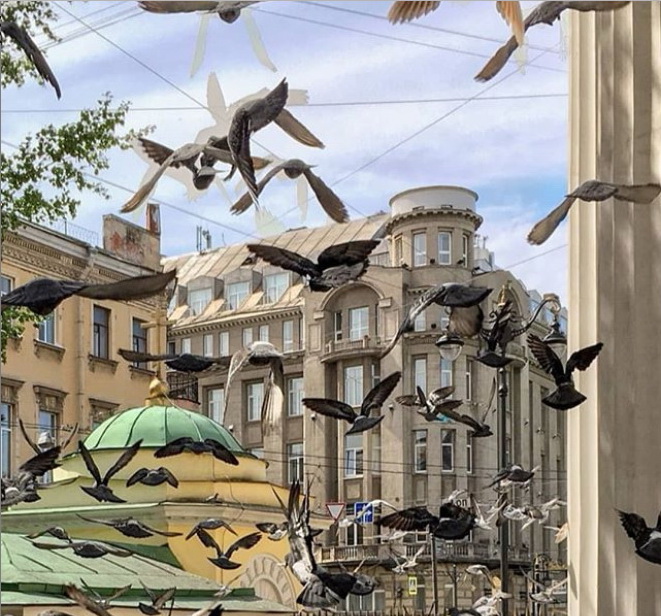 vacinart rabota v muzee spb