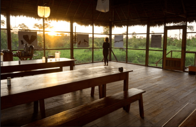 vacinart vremennaya rabota v amazonii