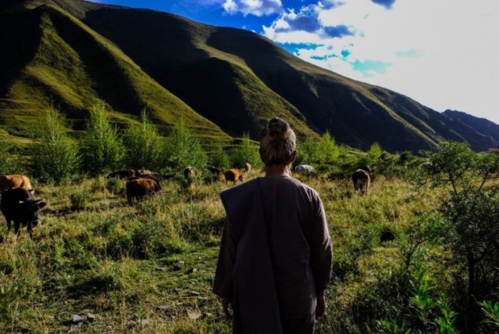 vacinart grant v million i rabota na god