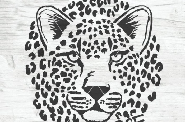 vacinart konkurs leo