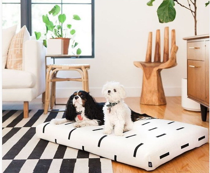 vacinart konkurs stul ili stol