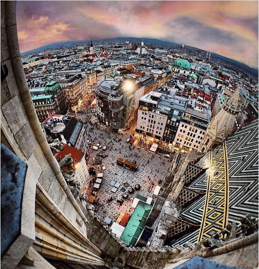 vacinart stazher kommunikacii vena leto 2020