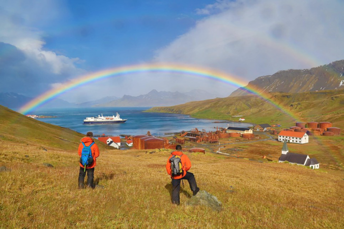 vacinart art proect pro kitov