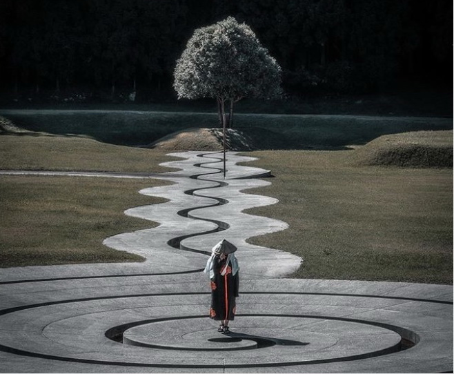 vacinart rabota v yaponii