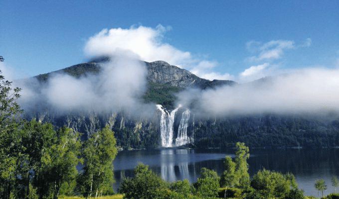 vacinart rezidenciya v lesu