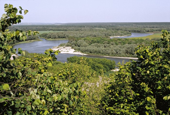 vacinart rabota na leto 2020 v zapovwdnike v vronezhskoy obl
