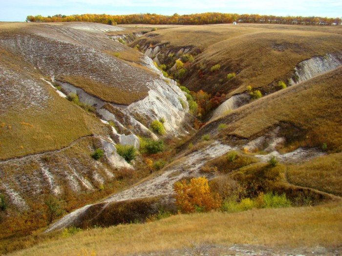 vacinart rabota na leto 2020 v zapovwdnike v vronezhskoy obl