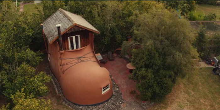 vacinart rossia konkurs neobychnyh domov