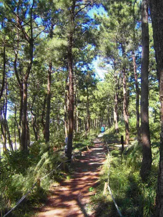 vacinart art rezidenciya koreya