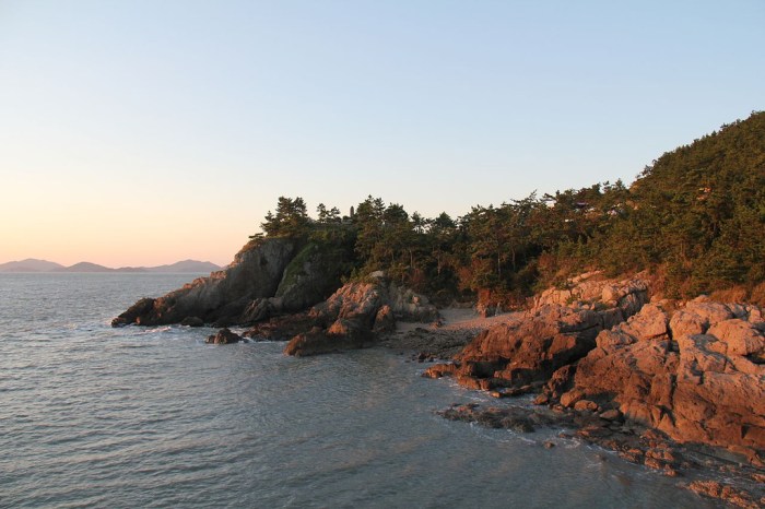 vacinart art rezidenciya koreya