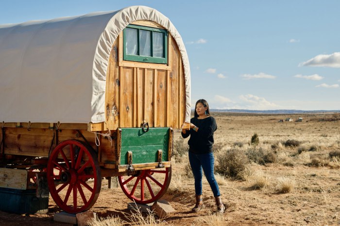 vacinart rossia konkurs neobychnyh gostevyh domov