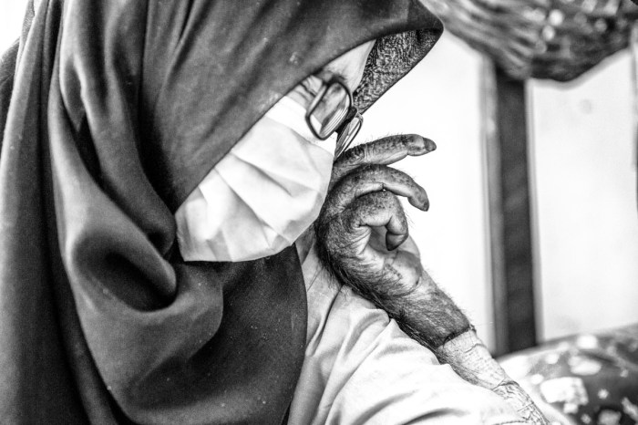 vacinart premiya photo 2020