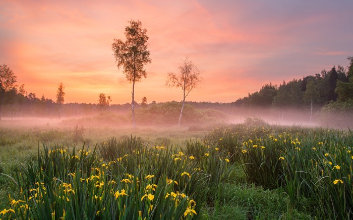 vacinart photokonkurs