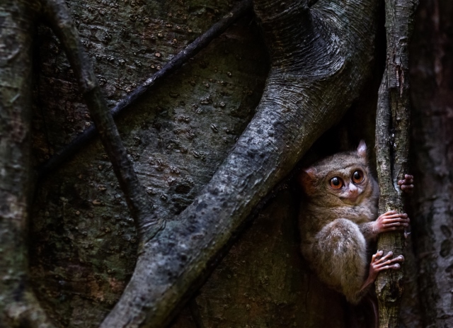 vacinartmsk photokonkurs