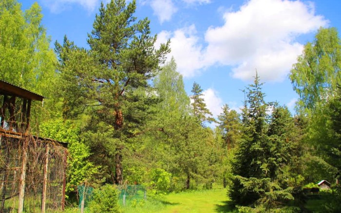 vacinart volonter za gorodom