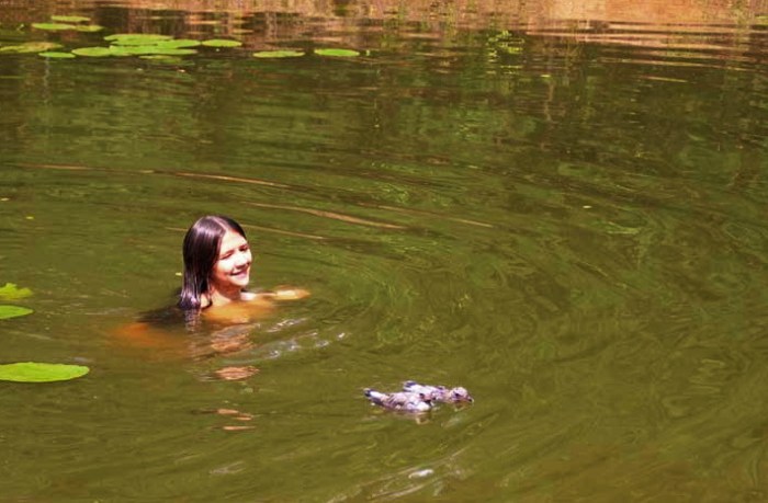 vacinart volonter za gorodom