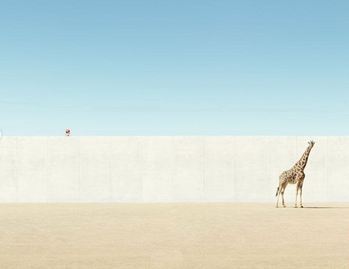 vacinart photokonkurs