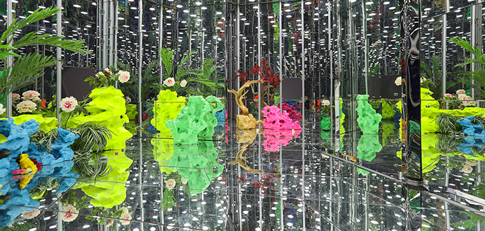 vacinart art konkurs noah