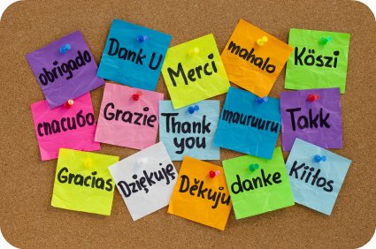 Волонтёр в ООН: нужен переводчик со знанием русского и английского