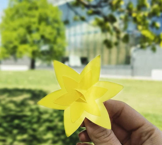 vacinart art stazhrovka za rubezhom dlya studentov 