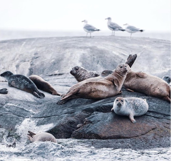 vacinart smotret kino na ostrove