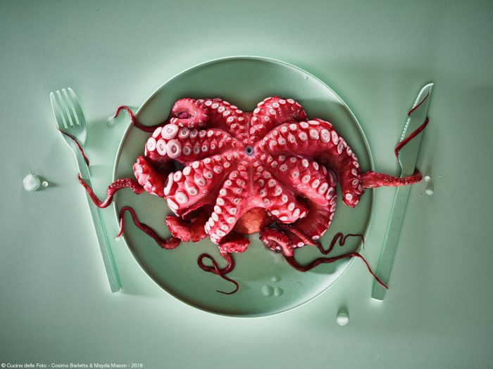 vacinart art photo konkurs