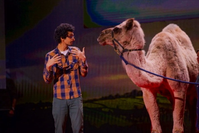 vacinart konkurs ted 2021