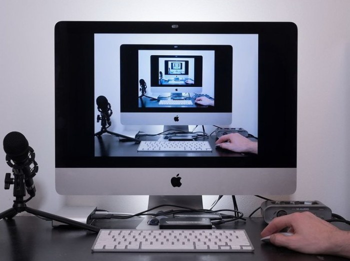 vacinart vystavka v niderlandah