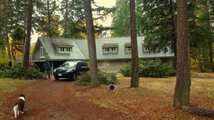 vacinart Kelowna art rezidenciya les_pisaTEL