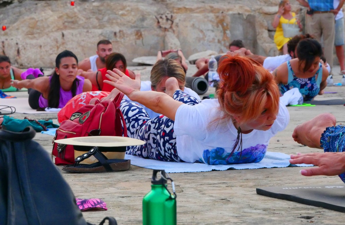 vacinart volonter msida malta volontery is rossii