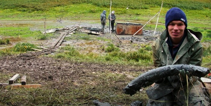 vacinart rabota v muzee sever