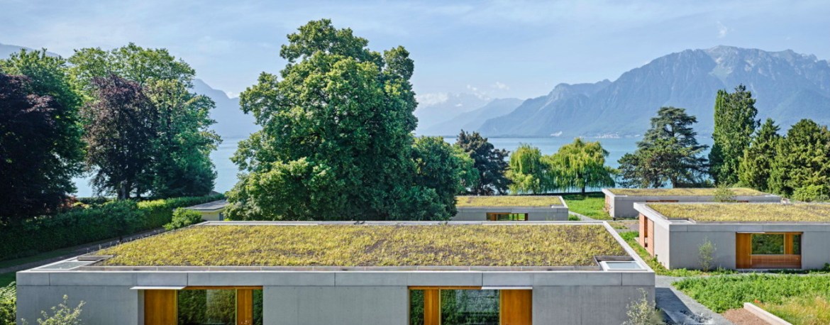 Женевское озеро Швейцария