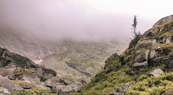 vacinart volonter ergaki